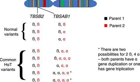 Impact of naturally forming human α/β-tryptase heterotetramers in the pathogenesis of <strong>hereditary</strong> α-<strong>tryptasemia</strong>. . Hereditary alpha tryptasemia 2022
